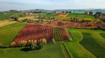 MODENA ENOGASTRONOMICA IN AUTUNNO